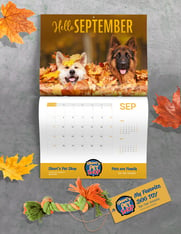 Fall-Set-pet-Calendar-and-tag-email-ad