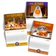 Fall-pet-Calendar